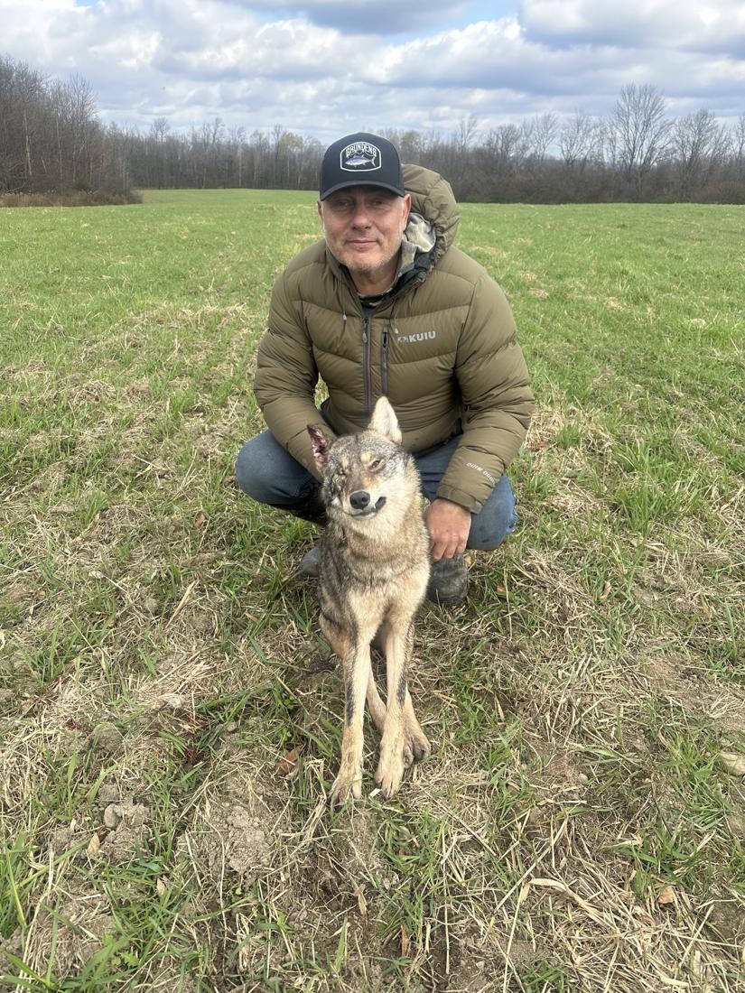 Hunter kneeling with a coyote in an open field