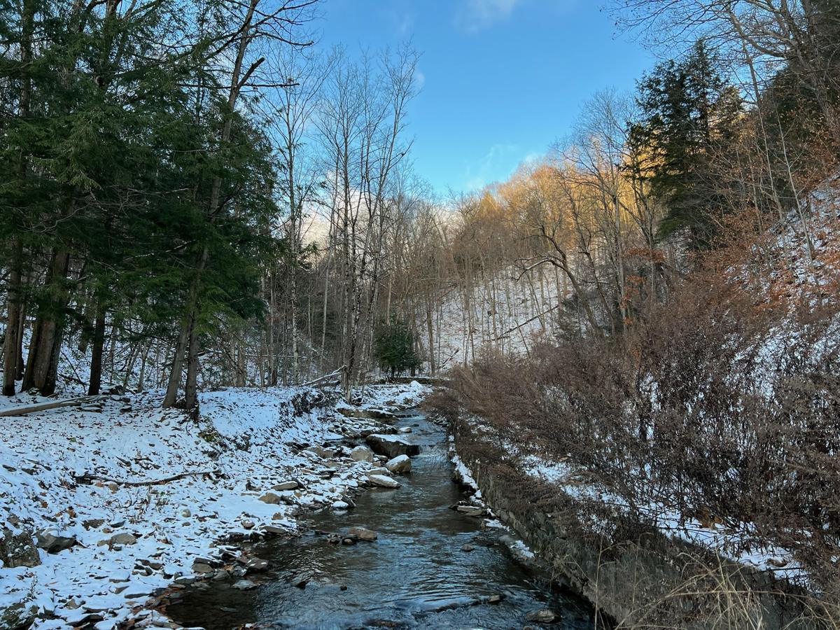 Money Gulf creek running through the gorge after a light snow