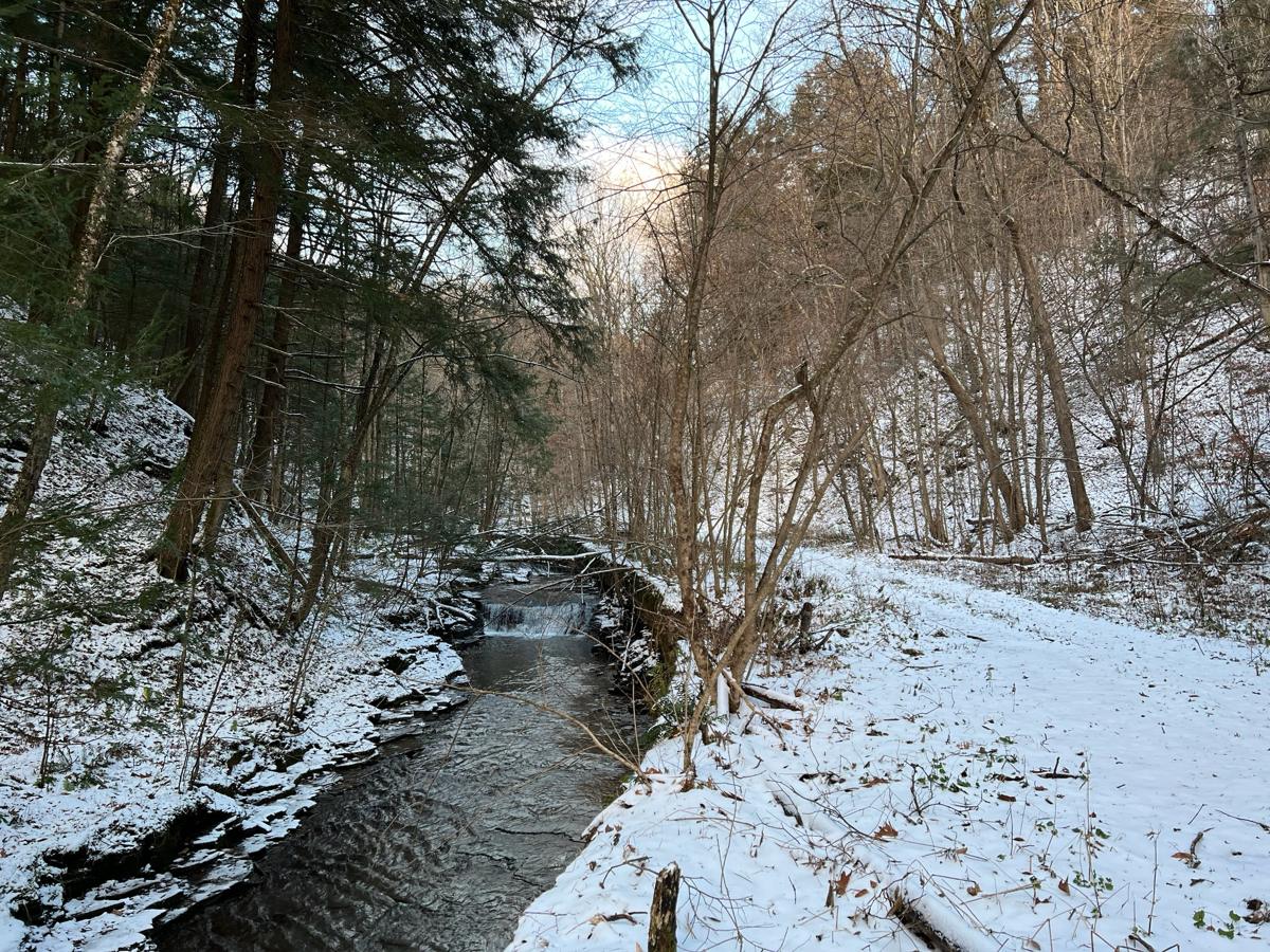 Creek with a small falls beside a snowy trail