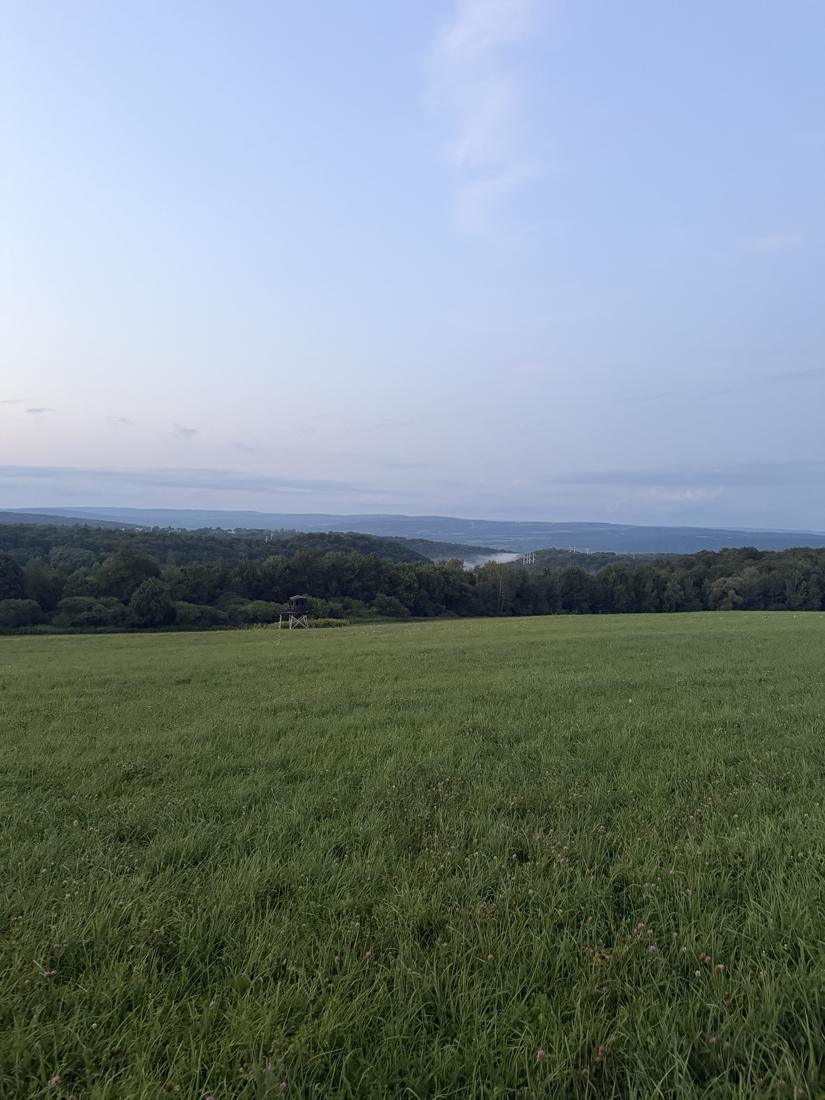 Top field looking out over the valley with a box blind on the tree line